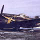Illustration for article titled F-82 Twin Mustang
